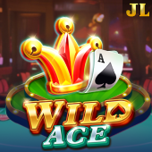 Wild Ace X Game slot